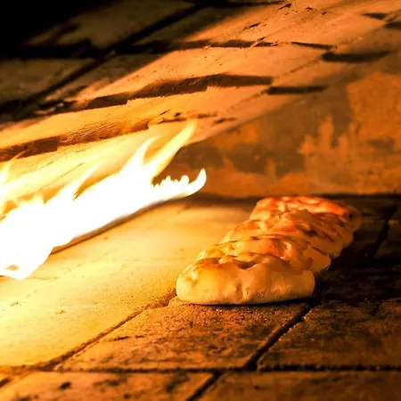 Hotel Majestic Half Board &